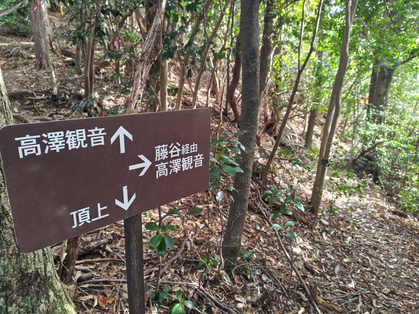 藤谷経由で下山
その後、猿の群れに遭遇するとも露知らず…