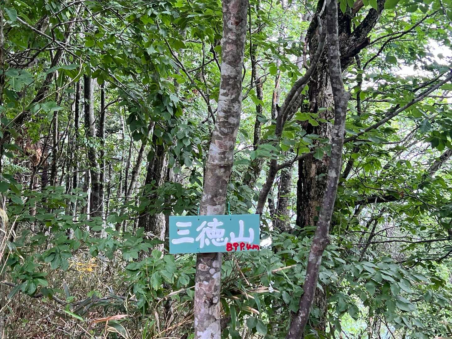 急登を乗り越えて何とか山頂❣️