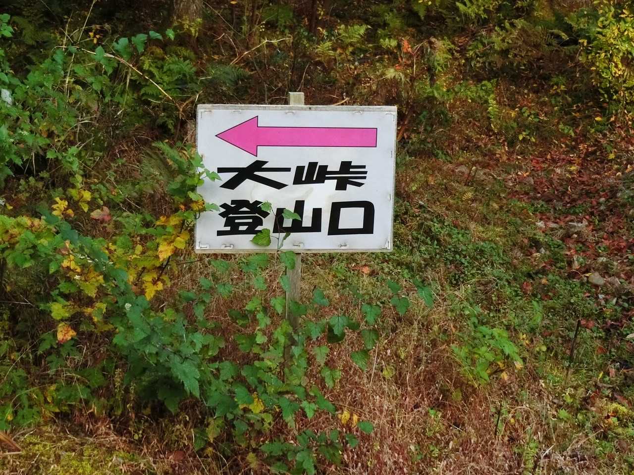 イイネー！