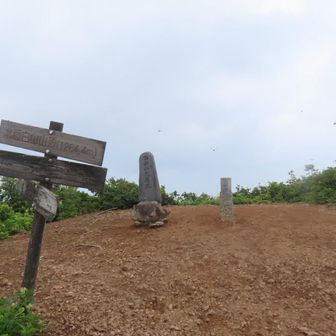 面白山登頂　17回目とのこと
