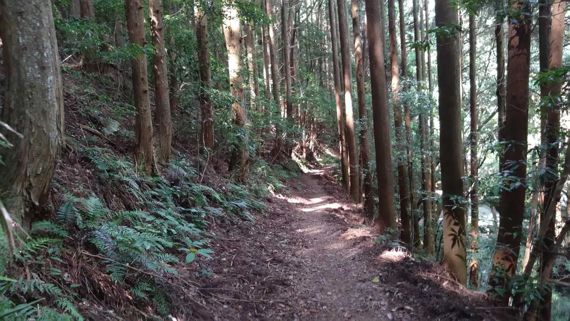 私のスローペースに合わせてもらった😅
