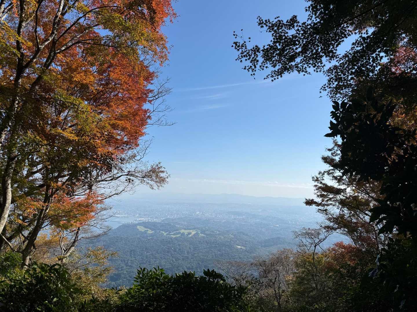 秋晴れ⭐️そして、紅葉🍁
