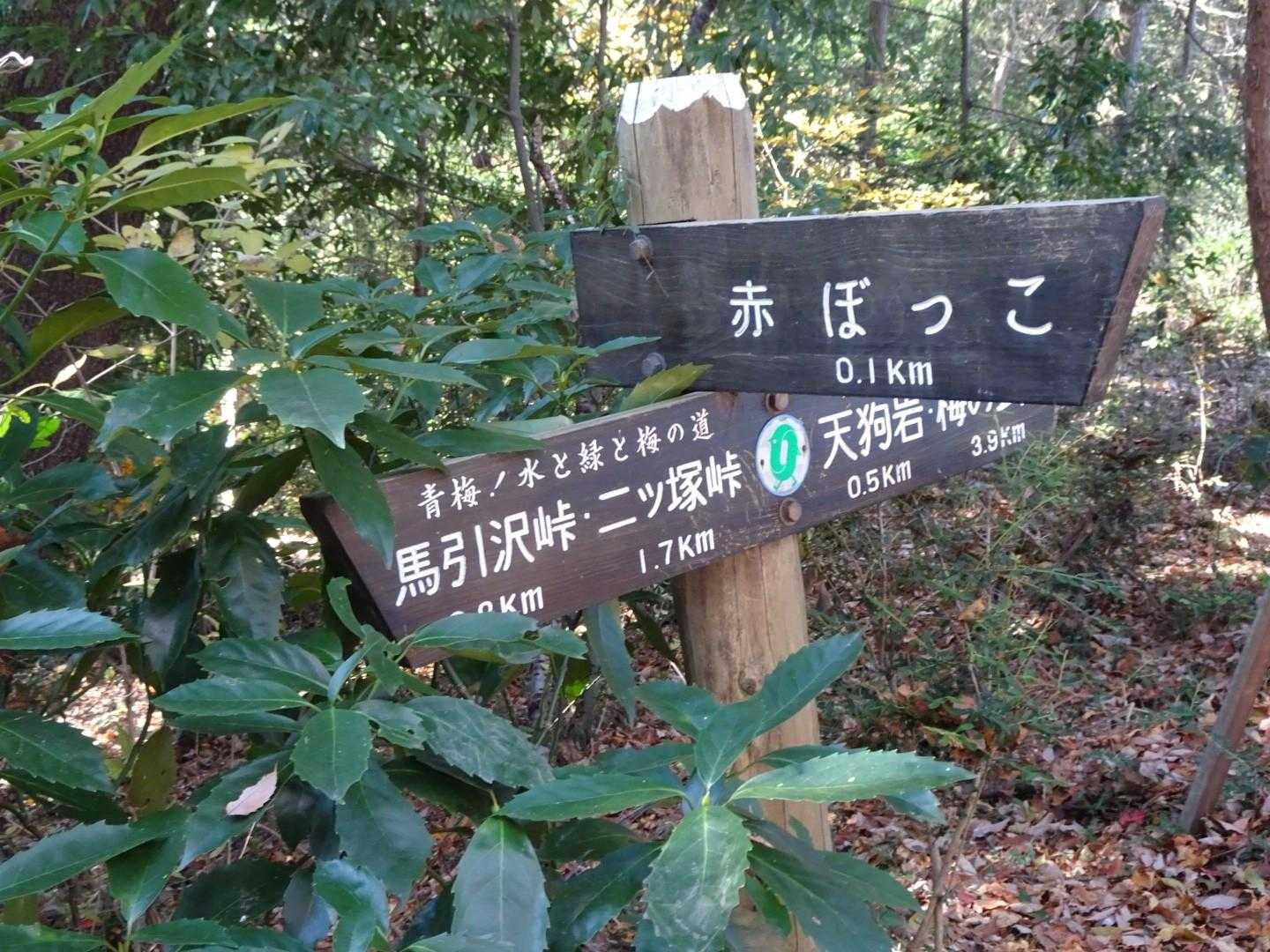 赤ぼっこに進む。