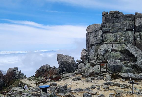 ヤフメリ7・法螺貝・山伏・修験者・金峯山・羽黒山・戦国武将・安全登山・熊除け笛 ヤフメリ7・法螺貝・山伏・修験者・金峯山・羽黒山・戦国武将・安全