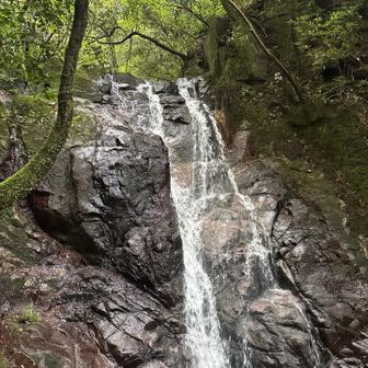花崗閃緑岩の断崖