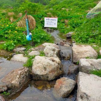 白雲岳そばの水場。
熊さんの通り道だそうです。
