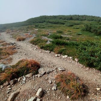 もう直ぐ丸山です