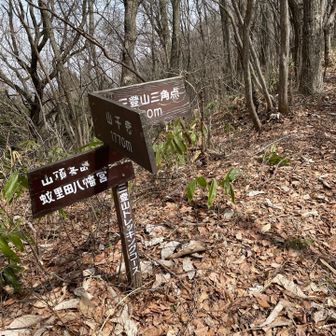 三角点手前の下山道の分岐