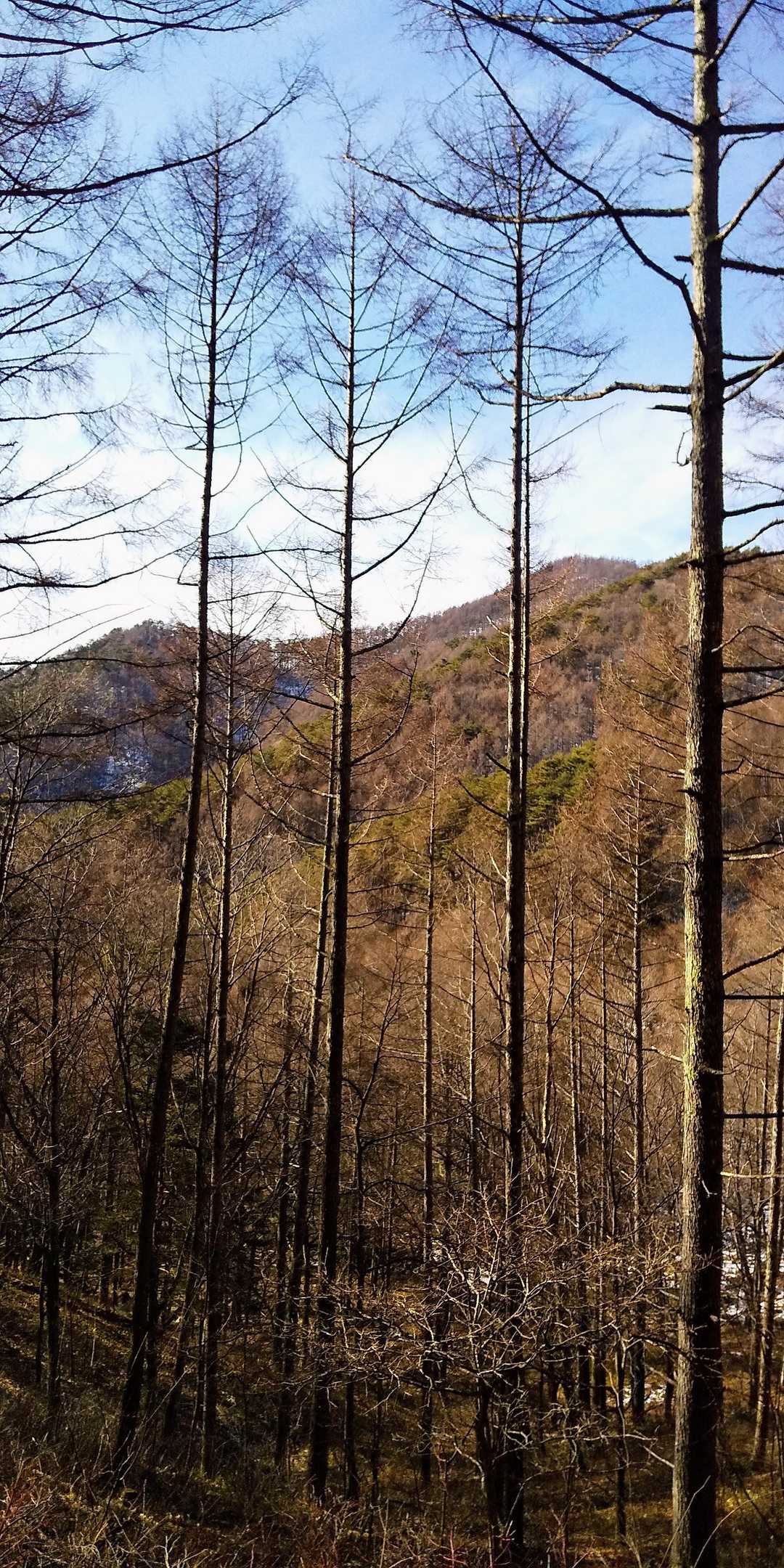 守屋山の東峰・西峰