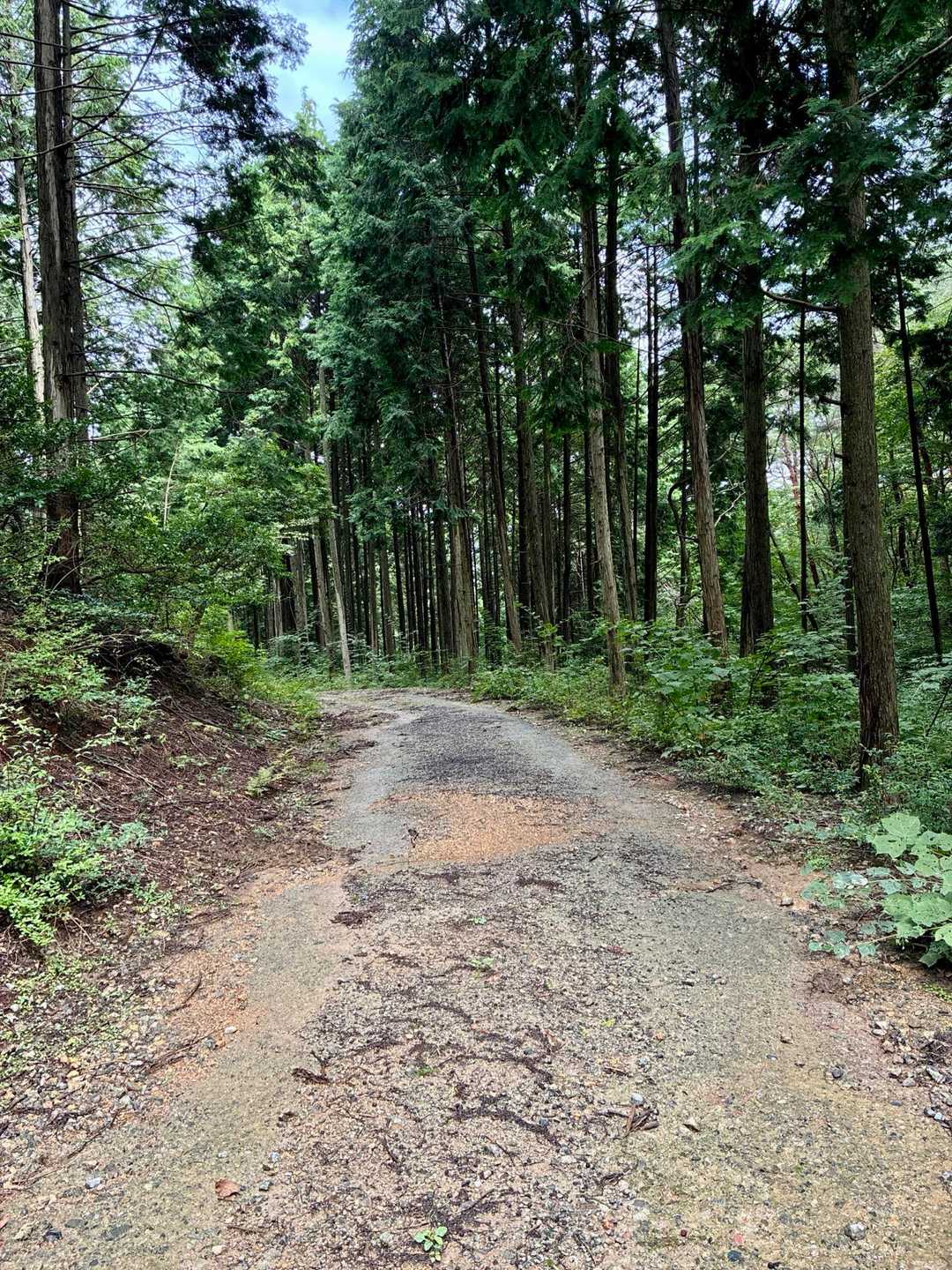 そんなこんなで
また写真を撮る余裕なく
やっと開けた舗装路に出られてひと安心😮‍💨