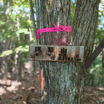 阿梨山ゲット！
阿梨山・中之岳・吽梨山を総称して阿吽三山（あうん三山）と呼ぶそうです😊