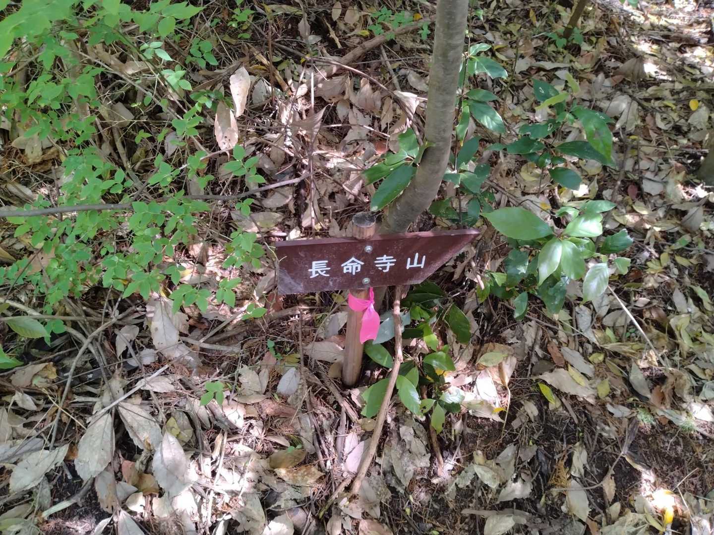 １つ目のピークへ