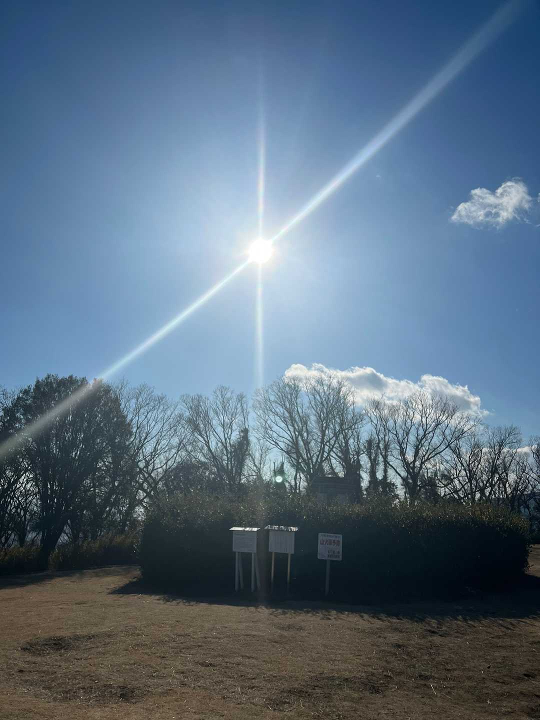 甲山 往復コースの写真