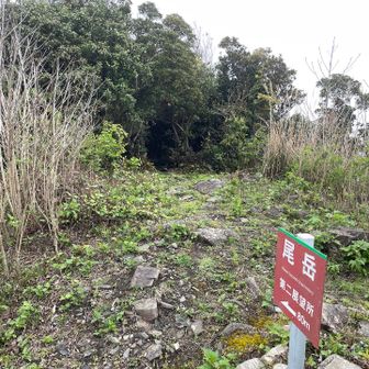 せっかくだから
第二も‼️