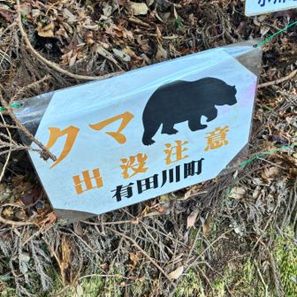 去年11月以降
周辺の目撃情報なし
しかし暖冬のため、やはり緊張する