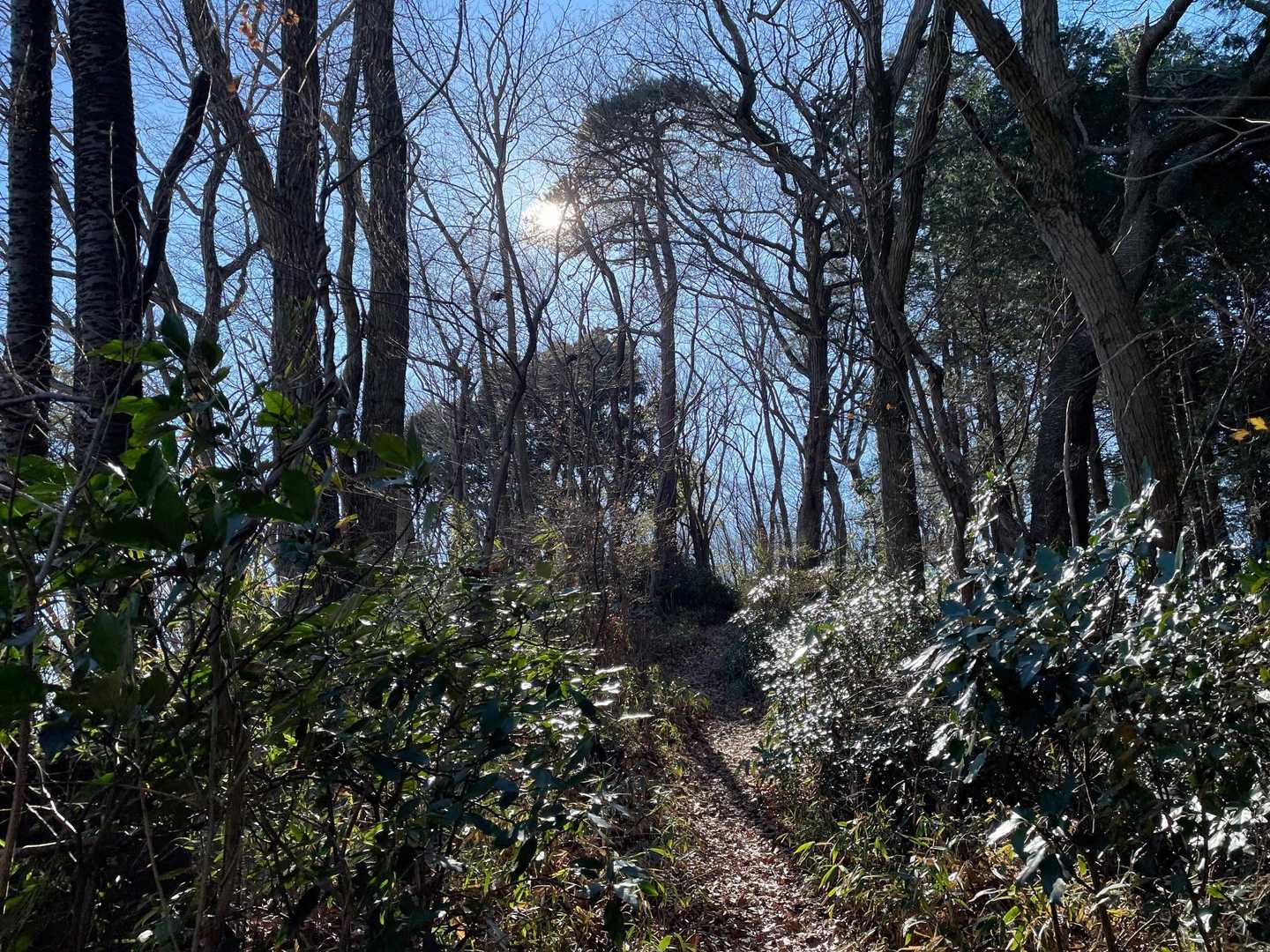 御嶽山 周回コースの写真