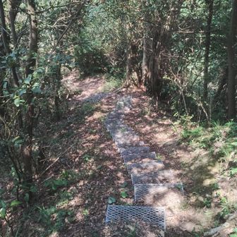 ランチ休憩でしっかり休んだ。

さて、気を取り直して、改めて進む。