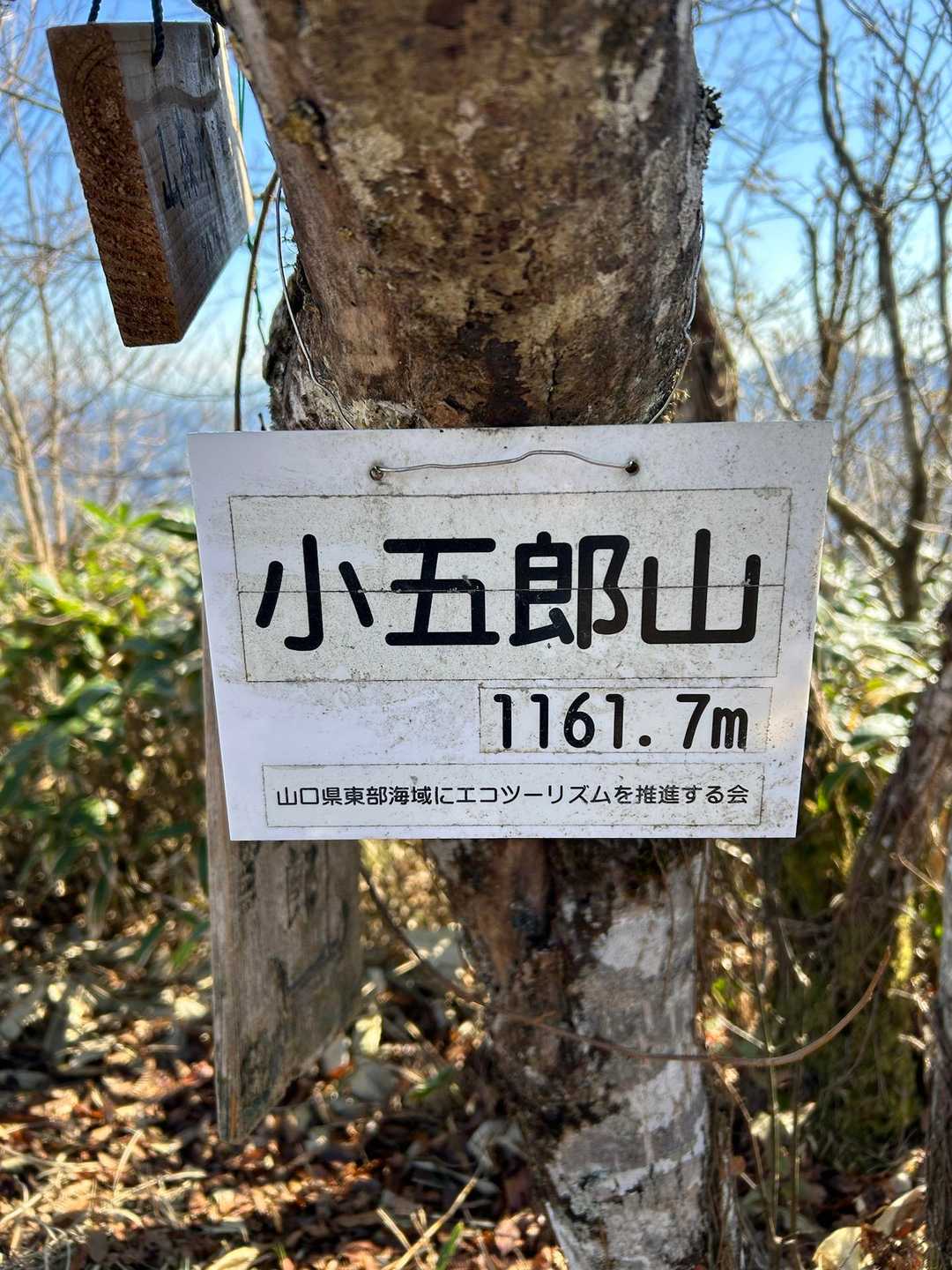 向峠バス停-小五郎山 往復コースの写真