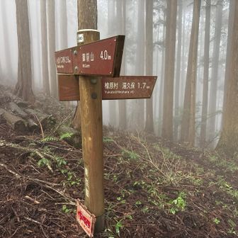 鑾野御前神社へ行くためにこの分岐を湯久保方面へ