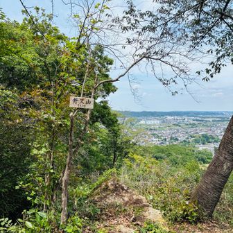 網代弁天山登頂〜⛰️