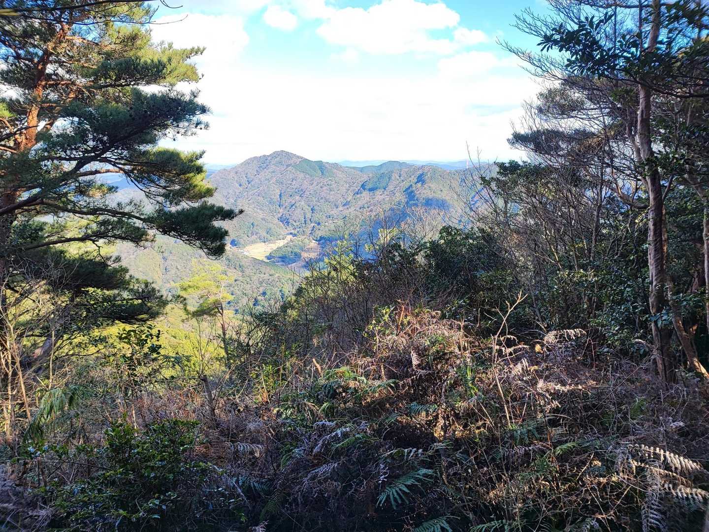 下山後どうするから、四王司山ピストンで解散しましたwww