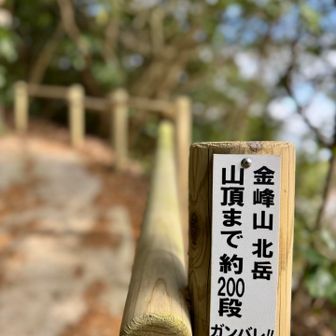 綺麗に整備されています。ありがとうございます😊