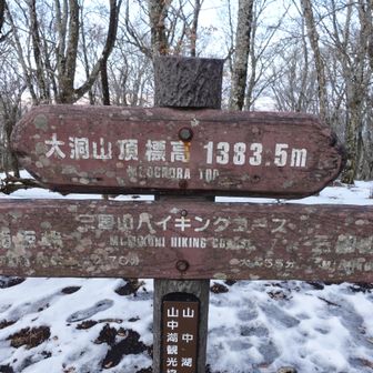 大洞山。日本百低山。