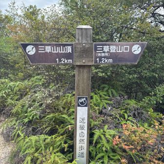 まぁまぁ上がって来たのにまだ半分😅