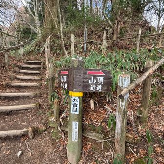 まさかずさんは、山頂でお別れ、9ni さんとお昼ご飯を食べて下山します。
写真は、9合目です