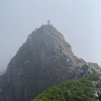 小雨