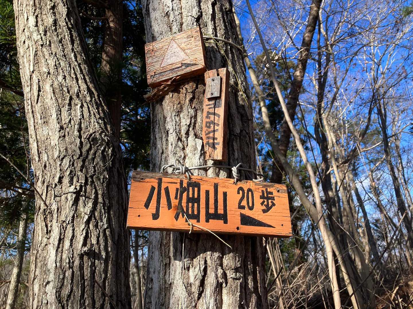 小畑山まであと20歩