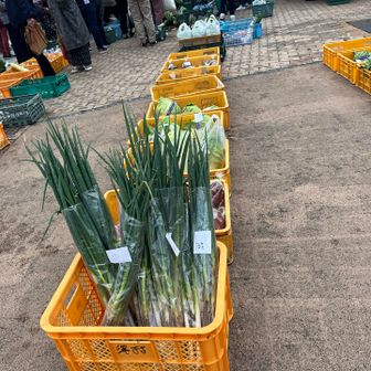 歩き始めて直ぐに人だかりができていました。
のぞいてみると朝市が開催されていて、新鮮なお野菜やパンなどが所狭しと売られていました😊