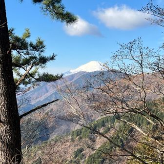 途中から富士山🗻