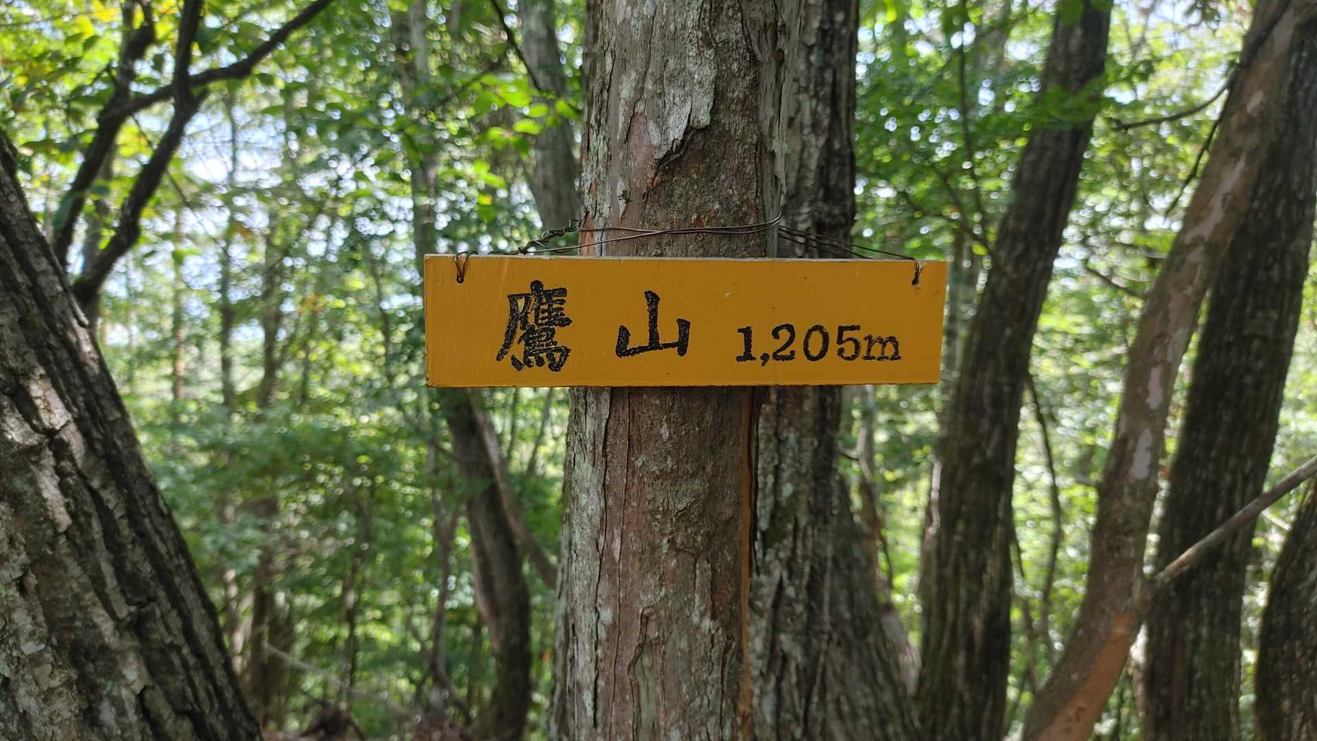 次のPeak「鷹山」を踏みます