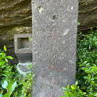 文字はわからない


下山へ
この岩を周回してみようと進む
道はあるが薮をかき分け後少しのところで岩を登れず危険⚠️なので引き返す