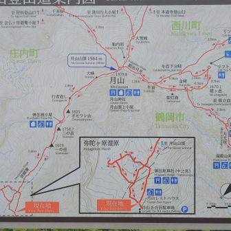 戻ってくるとほっとする🙂‍↕️