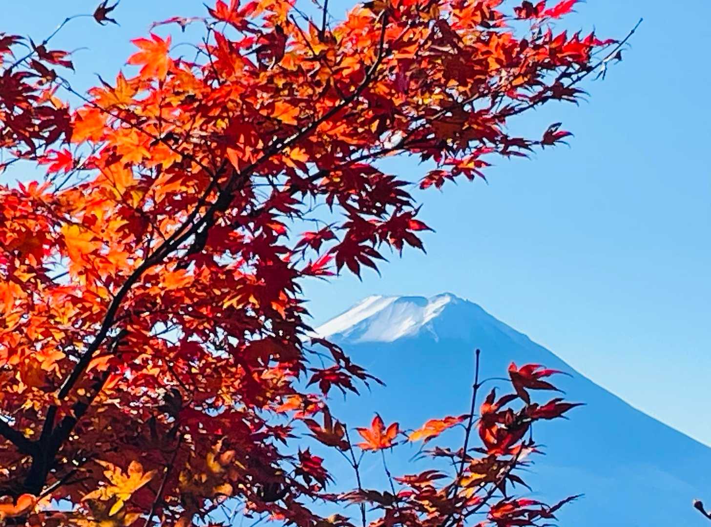 紅葉🍁と富士山🗻
THE日本の秋