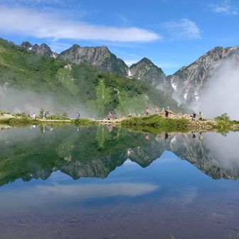 ハクサンフウロ