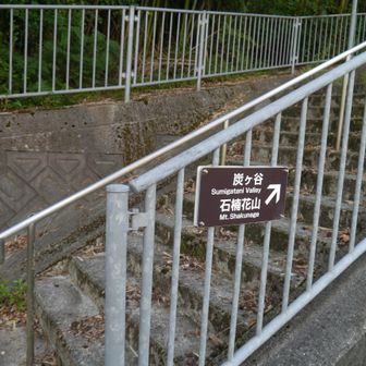 ここから登山道