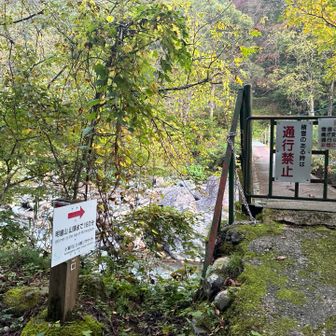 登山口の橋　川にヒスイ有るかなぁ^_^