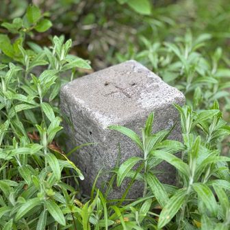 三角点