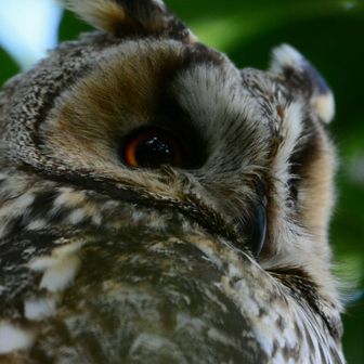 ★@@)なっちゃん★