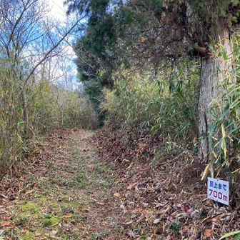 しっかり刈り込んである
100m毎に案内板👏