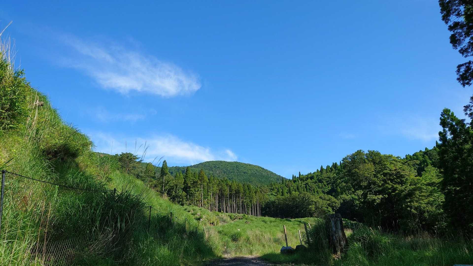 1人で大幡山って実は初めて。

そして初めて運転して大幡沢までやってきました🚗³₃

あんまりにも奥霧島に行かないもんだから
ゆん先生から『奥霧島調査課クビな！』
と言われたとか言われたとか…🤭