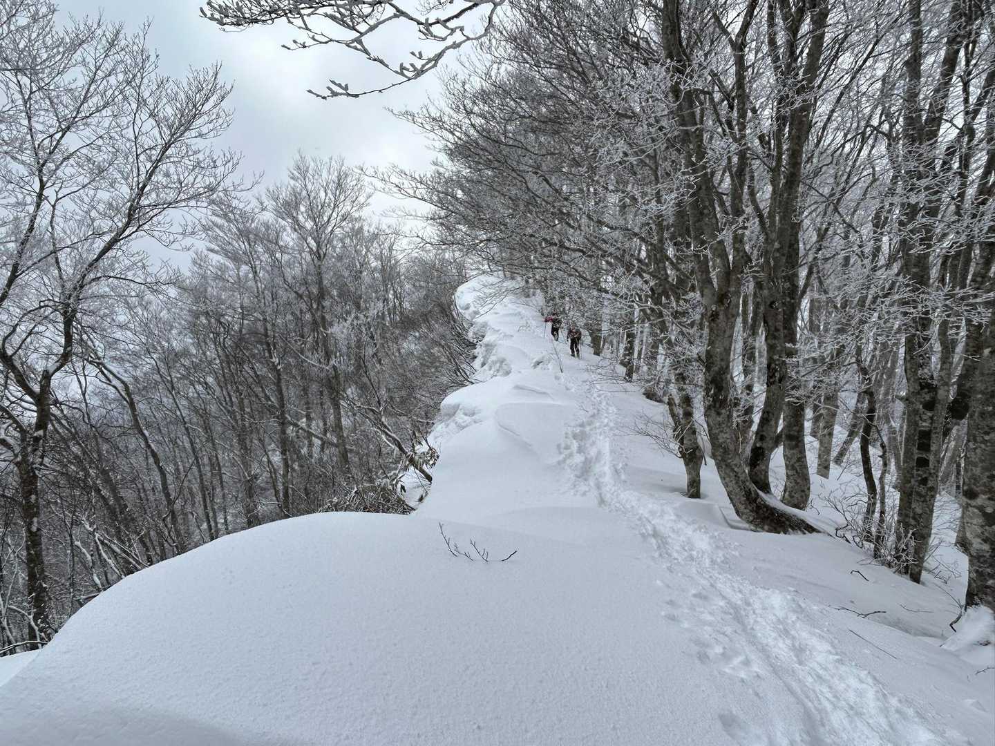 きれいな世界❄️✨