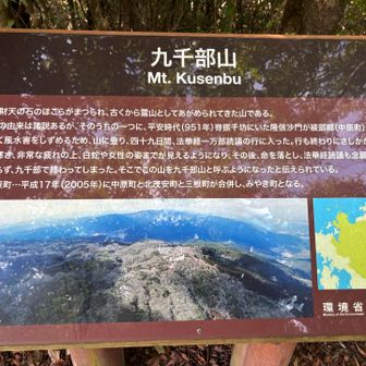 九千部山の名前の由来が
なんとも、ドラマチックです✨


時は平安時代…

「この地域では、疫病やたび重なる風水害で人々が苦しんでいました。
そこで、脊振山の名僧・性空上人の伴侶だった隆信沙門という若い僧が、『人々を災いから救いたい』と願い、山に籠もって法華経を1万部読誦するという大願を立てた、と伝えられています 」
(みやき町HPより)

ところが……

一万部を目指して読経を続けたものの、九千部まで読んだところで力尽き、若い僧の隆信さんは亡くなってしまいました🥺だから、

「九千部まで読んだ山」
→「九千部山」

と呼ばれるようになった、というのが一番よく知られている由来のようです。
あと、過酷な荒行で幻影が見えるようになって、「白蛇・美女に惑わされた」説もあるみたいです🥺ｼｮﾎﾞﾝﾇ