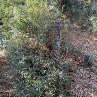 　瑞泉寺方面へ行って、間もなく左方向　吉沢川ルートを探します。
  案内板(目印)は見当たりませんでした。