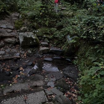 湧き水を補給