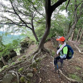 お父さんと初めてすれ違って挨拶を交わした白山見台付近。
懐かしい思い出での場所です😊