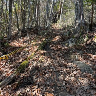 出ました！急登💦